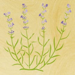 Wandschablone Lavendel floral